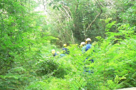 Picture of Forest Company for sale in Mozambique