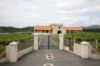 Picture of Winery in Galicia