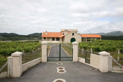 Picture of Winery in Galicia