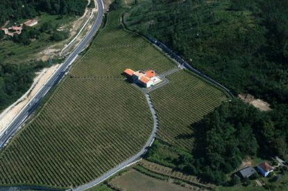 Picture of Winery in Galicia