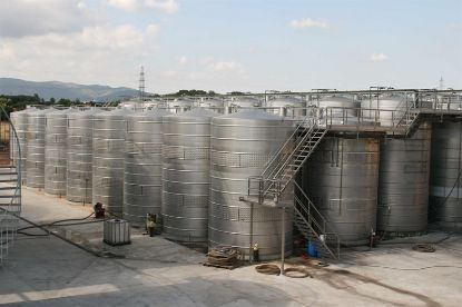 Picture of Winery in Penedés (Catalunya)