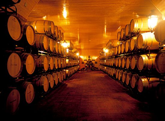 Picture of Winery with capacity 200,000 L., Spain