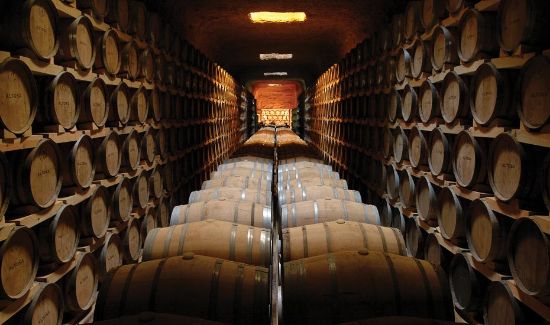 Picture of Winery with capacity 230,000 L., Spain