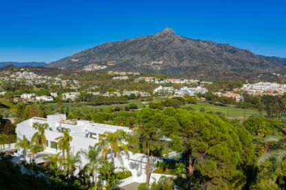 Picture of Duplex Penthouse in Nueva Andalucia