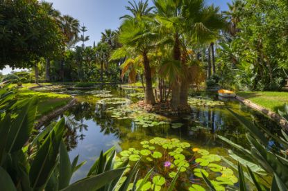 Picture of Villa in Rocio de Nagüeles, Marbella Golden Mile