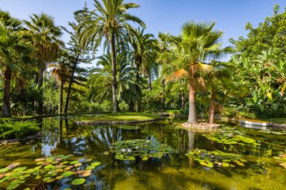 Picture of Villa in Rocio de Nagüeles, Marbella Golden Mile