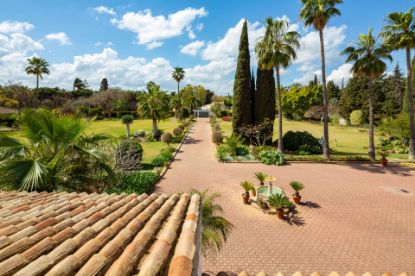 Picture of Villa in Guadalmina Baja, San Pedro de Alcantara