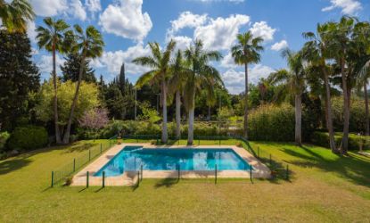 Picture of Villa in Guadalmina Baja, San Pedro de Alcantara