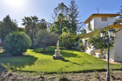 Picture of Villa in Guadalmina Baja, San Pedro de Alcantara