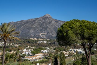 Picture of Villa in Las Brisas, Nueva Andalucia