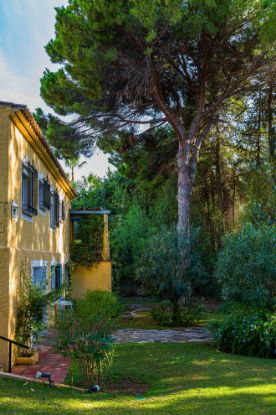 Picture of Villa in La Carolina, Marbella Golden Mile