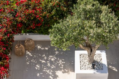 Picture of Town House in Nueva Andalucia