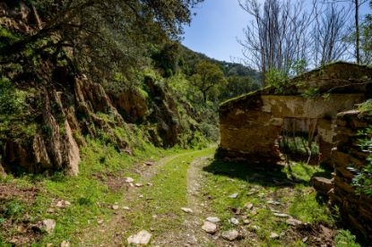 Picture of Finca in Cordoba