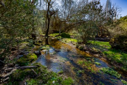 Picture of Finca in Cordoba