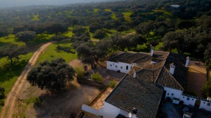 Picture of Finca in Cordoba